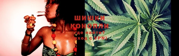 стаф Гусь-Хрустальный