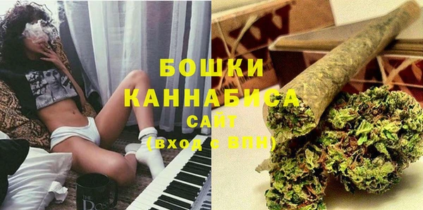 альфа пвп Горнозаводск