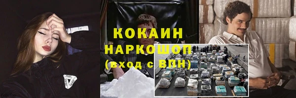 ешки Горняк