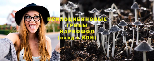 ешки Горняк