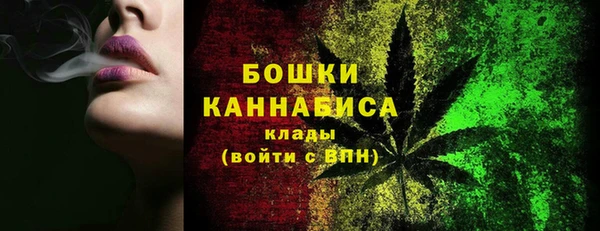 PSILOCYBIN Гусиноозёрск