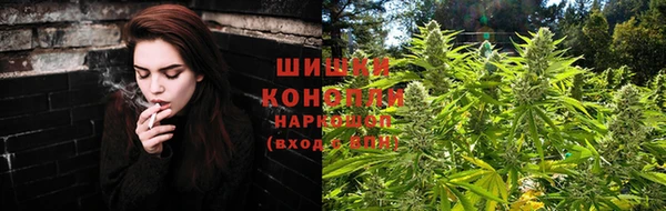 стаф Гусь-Хрустальный