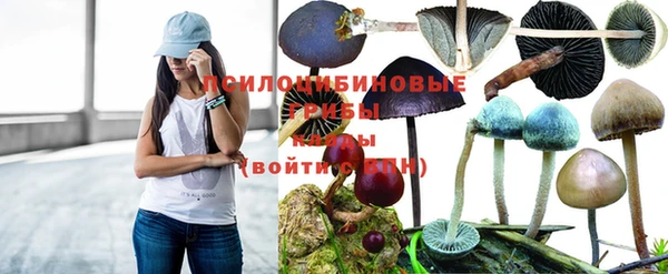 дурь Горно-Алтайск