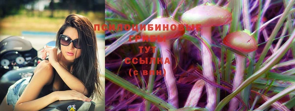 ешки Горняк