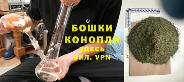 стаф Гусь-Хрустальный