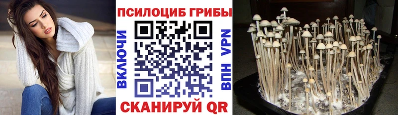 Галлюциногенные грибы ЛСД  где купить   Уссурийск 